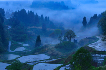 新潟県蒲生の棚田