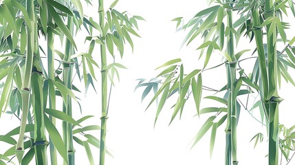 Green Bamboo Forest