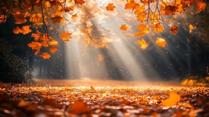 Autumn background with golden leaves and rays of sunlight in a park. Autumn landscape with colorful autumn trees and fallen orange leaves on the ground.  fall nature scene backgroun banner for design.