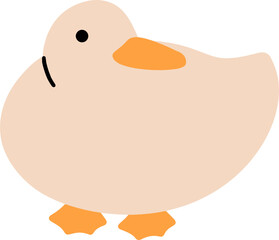 Hand Draw Vector of Duck Illustration