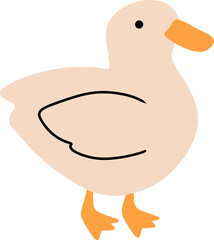 Hand Draw Vector of Duck Illustration