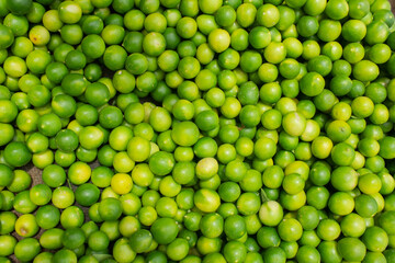 Fresh Green Juicy Refreshing Vitamin C Filled Organic Health Limes Green Fresh Lemons