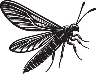Beautiful firefly insect silhouette illustration isolated on a white background