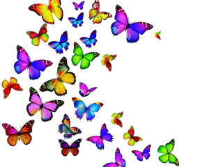 Fototapeta premium A vibrant array of colorful butterflies in various sizes and patterns, creating a whimsical effect.