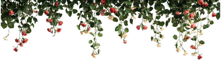 Obraz premium Fresh green leaves and pink blooms isolated on transparent background, ideal for vibrant garden themes and floral overlays