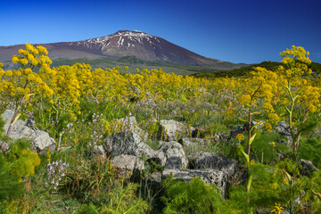 Smoking Etna Volcano M Sicily