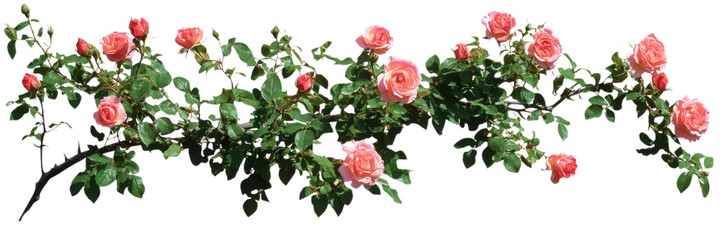 Naklejka premium Mixed greenery with small white flowers isolated on transparent background, perfect for fresh home decor and natural-themed graphic overlays