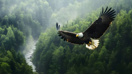 Fotobehang 10. A majestic bald eagle soaring high above a dense forest with a river winding through the landscape below © Obee