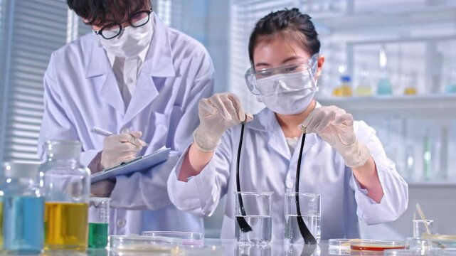 The scientist pulled two strands of hair from two jars of solution and the other person came up from behind to observe, take notes and discuss. Professional and modern laboratory space.
