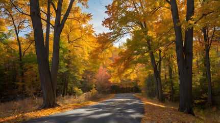Obraz premium A Winding Road Through an Autumnal Forest