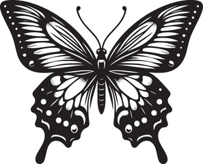Beautiful butterfly insect silhouette illustration isolated on a white background