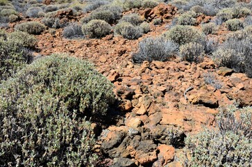 Scenic view of volcanic rock formations in desert during sunny day, Teide National Park, Tenerife