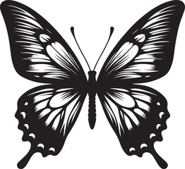 Beautiful butterfly insect silhouette illustration isolated on a white background