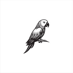 Icon on Black and White Vector Backgrounds