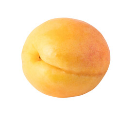 apricots isolated. png file