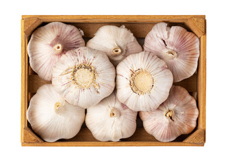 Garlic Isolated on transparent background. png file