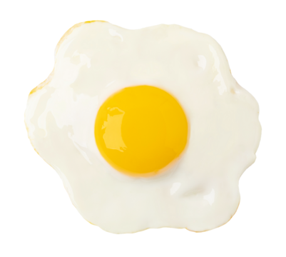 Fried egg