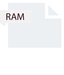 Fototapeta premium RAM File format icon roe color fill