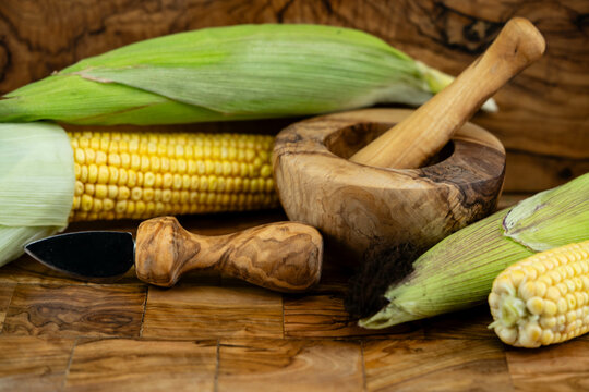 Frisch geernteter Mais Zea mays