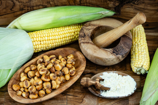 Frisch geernteter Mais Zea mays