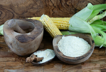 Frisch geernteter Mais Zea mays