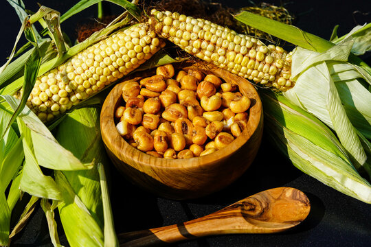 Frisch geernteter Mais Zea mays