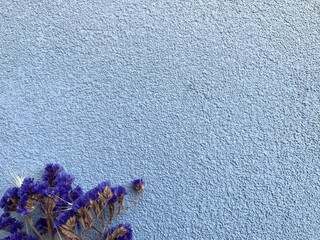 Blue wall with decorative countryside flowers