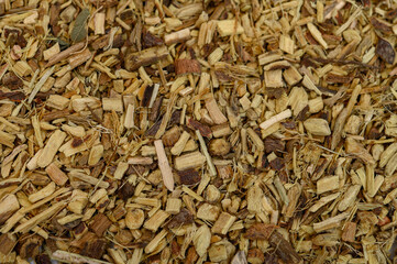 Cięty korzeń lukrecji z bliska, wypełnia kadr