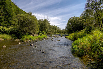 Landscape photo of the Vistula River on a sunny summer day