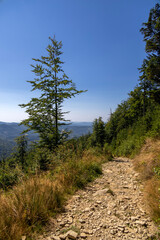 Mountainous mountain landscape on a hot summer day in late summer