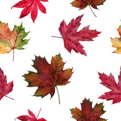 Beautiful Watercolor Seamless Pattern of Autumn Leaves and Acorns, Perfect for Seasonal Backdrops and Designs