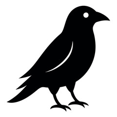 Fototapeta premium European starling bird icon vector illustration. 