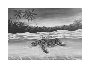 Acrylic painting of turtle animal