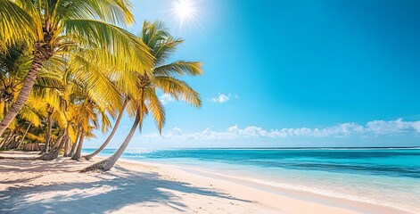 Obraz premium A beautiful beach with palm trees and blue sky, sun shining