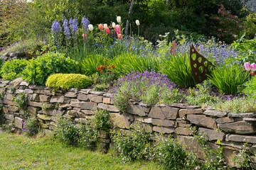 spring flowers on a Cornish stone wall