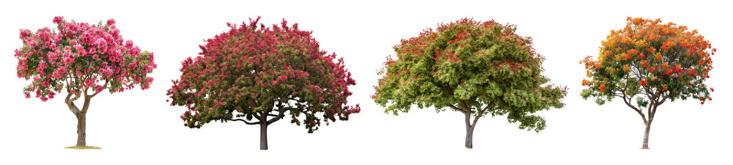 Blooming tree png cut out element set