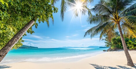 Obraz premium A beautiful beach with palm trees and blue sky, sun shining