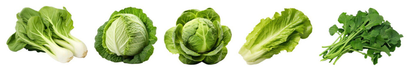 Obraz premium Green vegetable png cut out element set