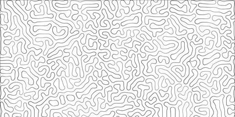 Fototapeta premium Abstract seamless turing pattern minimal organic geometric white background. black stock line abstract pattern Transparent monochrome striped texture, seamless pattern, modern stylish texture.