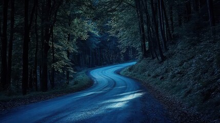 Fototapeta premium A moonlit country road winding through dense woods, with shadows stretching across the path