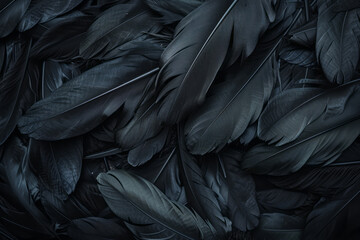 A closeup of raven feathers, each feather detailed and elegant in its pattern, against a dark background, appearing to be floating or swirling with movement.