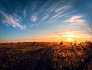 Rural landscape with road of sunrise over the field on the summer morning.