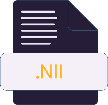 NII File extension icon minimal colro fill