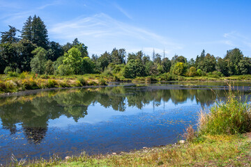 Beautiful pond view in Lyons City Park, Oregon
