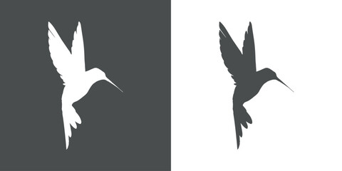 Silueta de colibrí © teracreonte