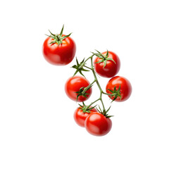 Fresh Vine Ripe Red Tomatoes on Black Background