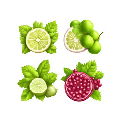 Fresh and Juicy Limes, Grapes, and Pomegranate
