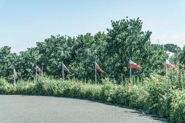 Rząd flag ustawionych w półkolu