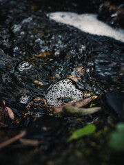 Flowing water