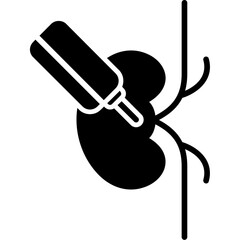 Kidney Biopsy Icon
